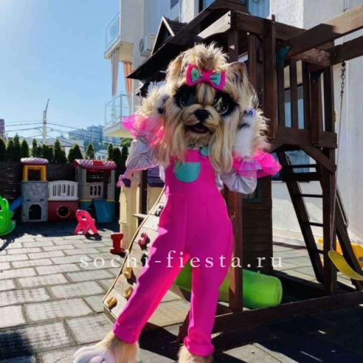Аниматор Гламурная Собака в Симферополи