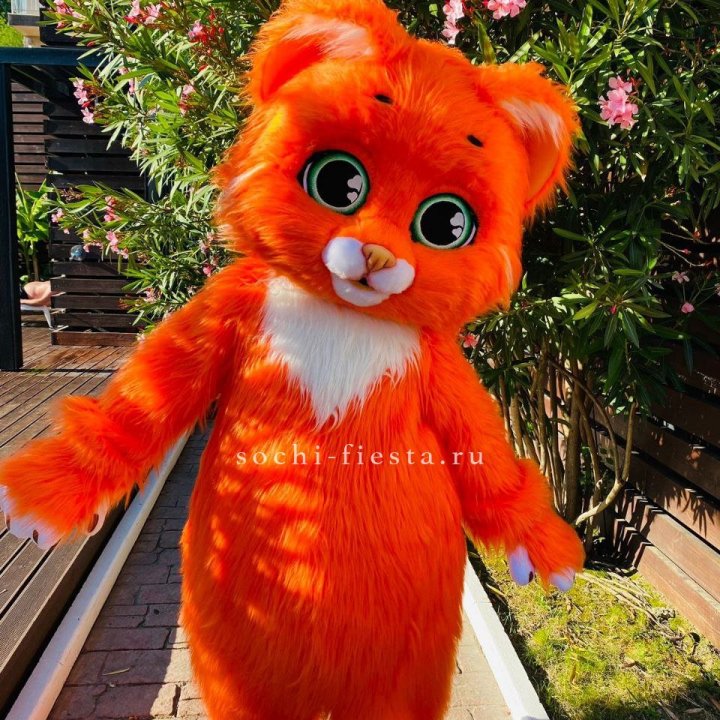 Аниматор Котик в Симферополи