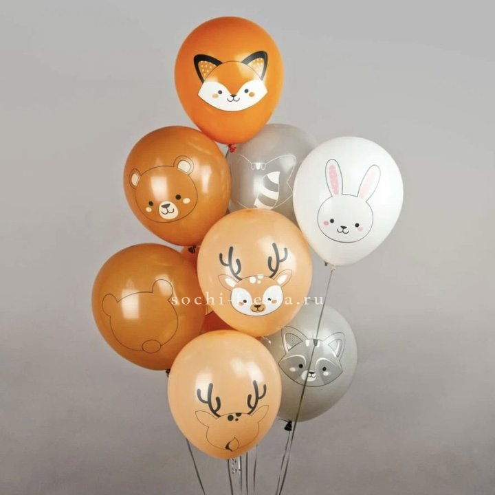 Воздушный шар "Животные" в Симферополи