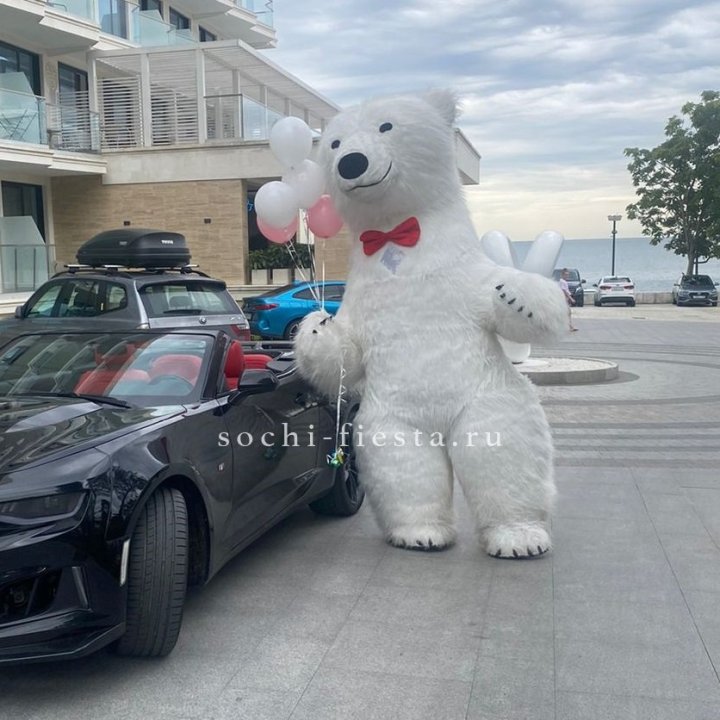 Аниматор Белый Медведь в Симферополи