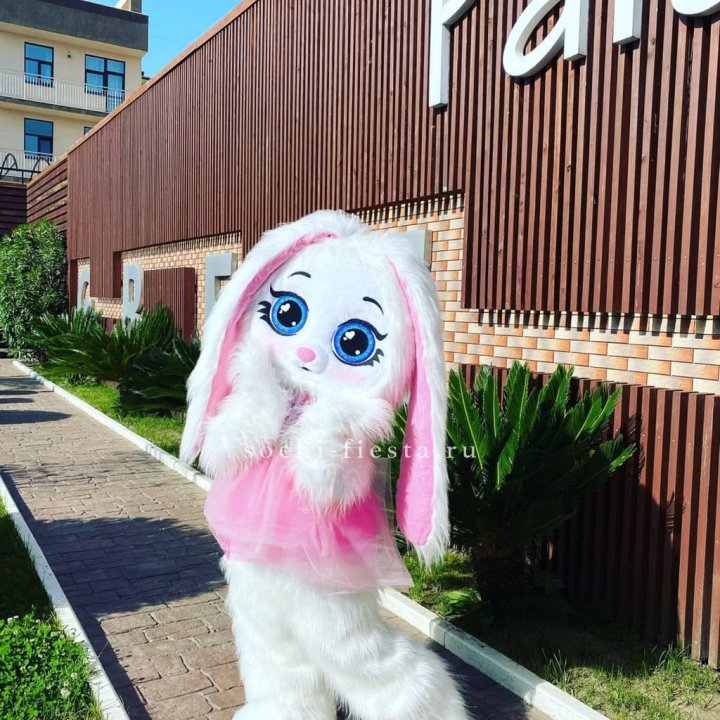 Аниматор Зайка в Симферополи