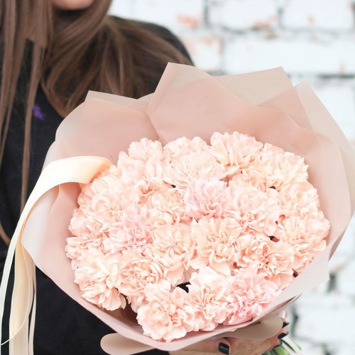 Диантусы №2 в Симферополи