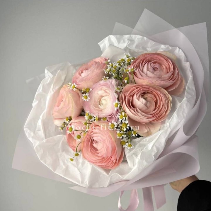 Ранункулюсы с ромашками в Симферополи