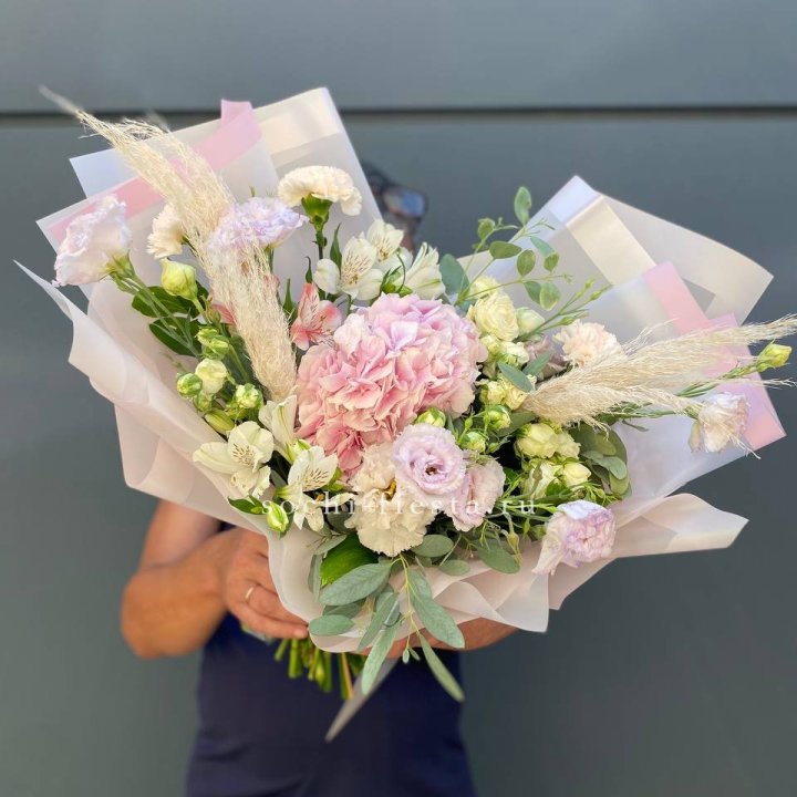 Гортензия "Пинк флоид" в Симферополи