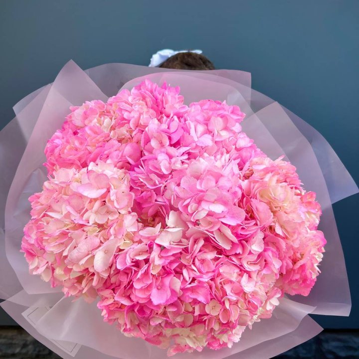 9 ярко розовых гортензий в Симферополи