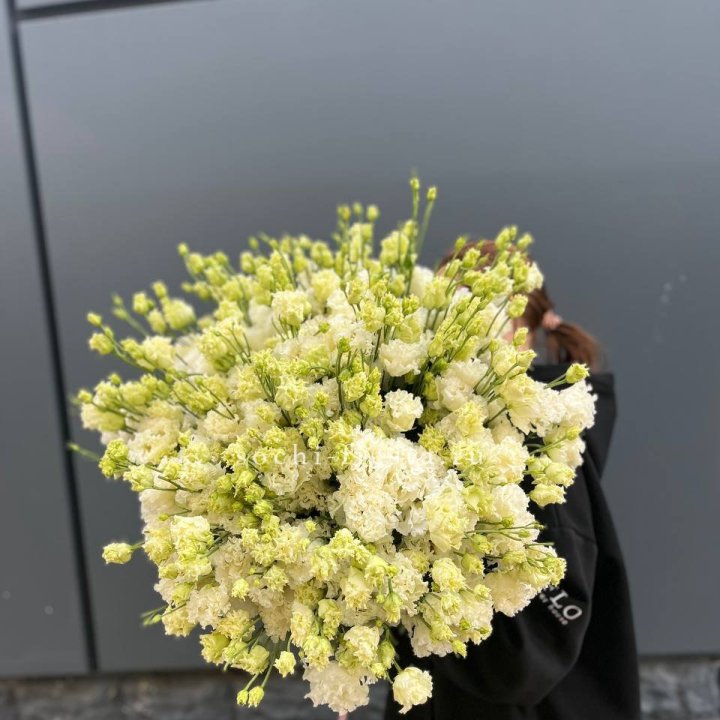 51 белая эустома в Симферополи