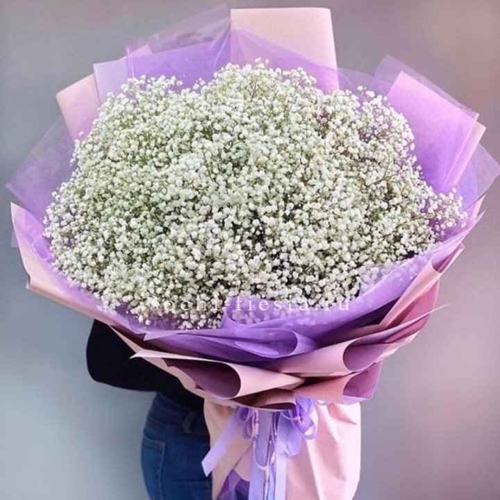 Облако белых гипсофил в Симферополи