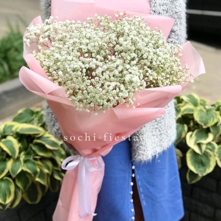 Белоснежные гипсофилы в Симферополи