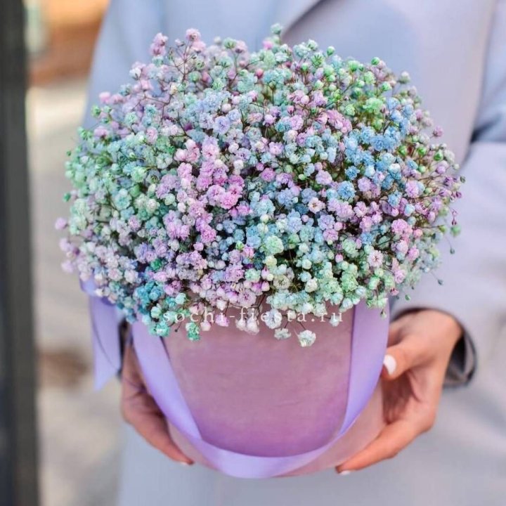 Гипсофилы в шляпной коробке "Кандилайт" в Симферополи