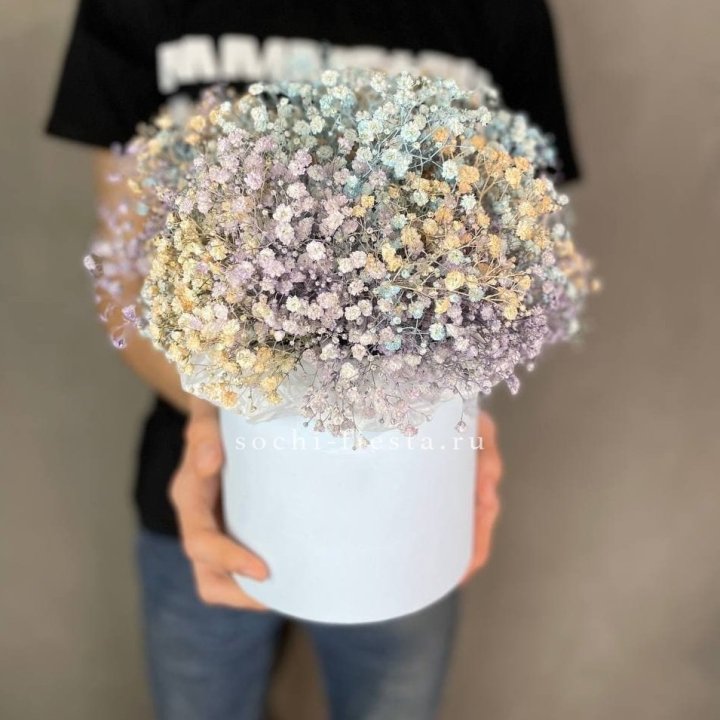 9 Радужных гипсофил в шляпной коробке в Симферополи