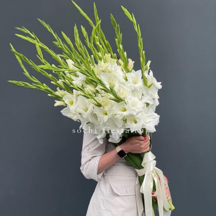 19 белых гладиолусов под ленту в Симферополи