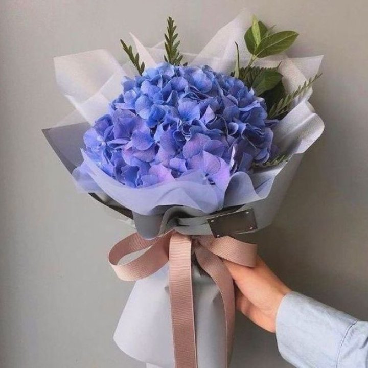 Гортензия голубая в Симферополи