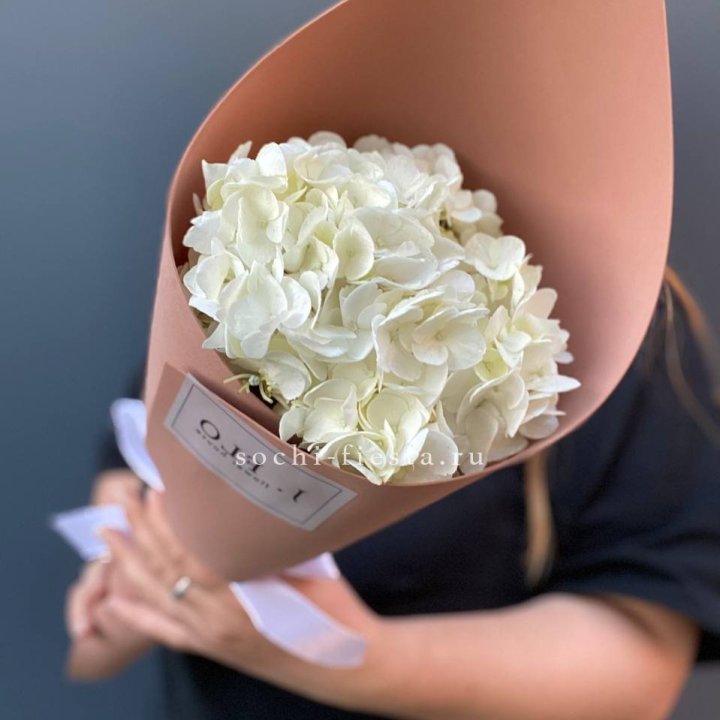 Гортензия в конверте в Симферополи