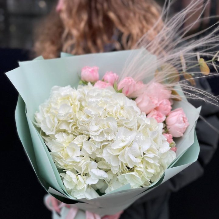 Гортензия "Жасмин" в Симферополи