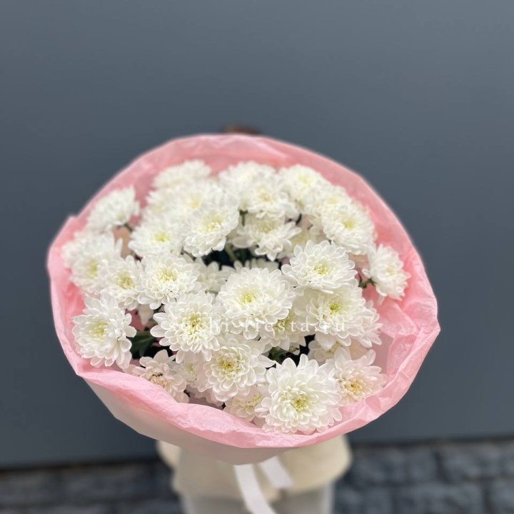  5 хризантем  в Симферополи