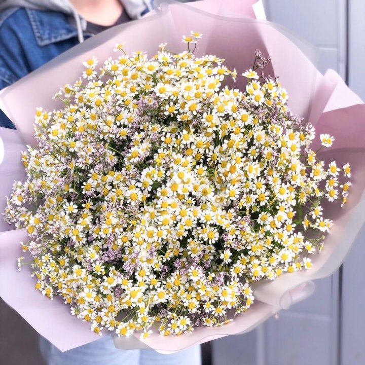 Букет ромашек №1 в Симферополи