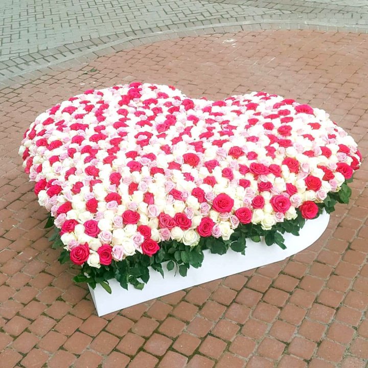 555 роза  в Симферополи