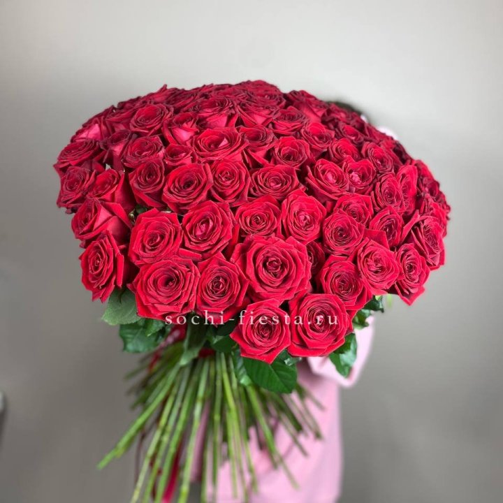 101  голландская роза  в Симферополи