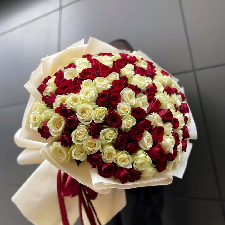 101 высокая импортная роза  в Симферополи