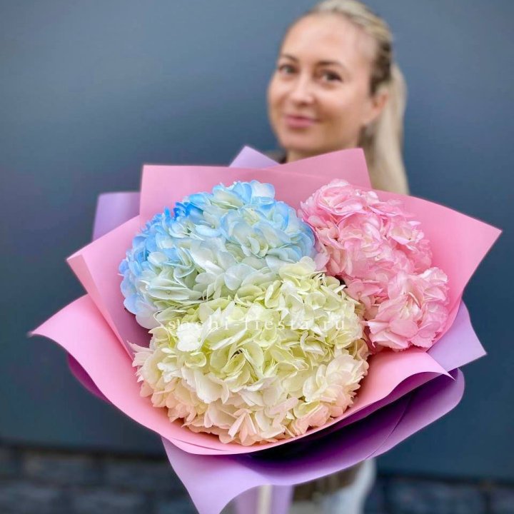 Букет гортензий "Тоника" в Симферополи