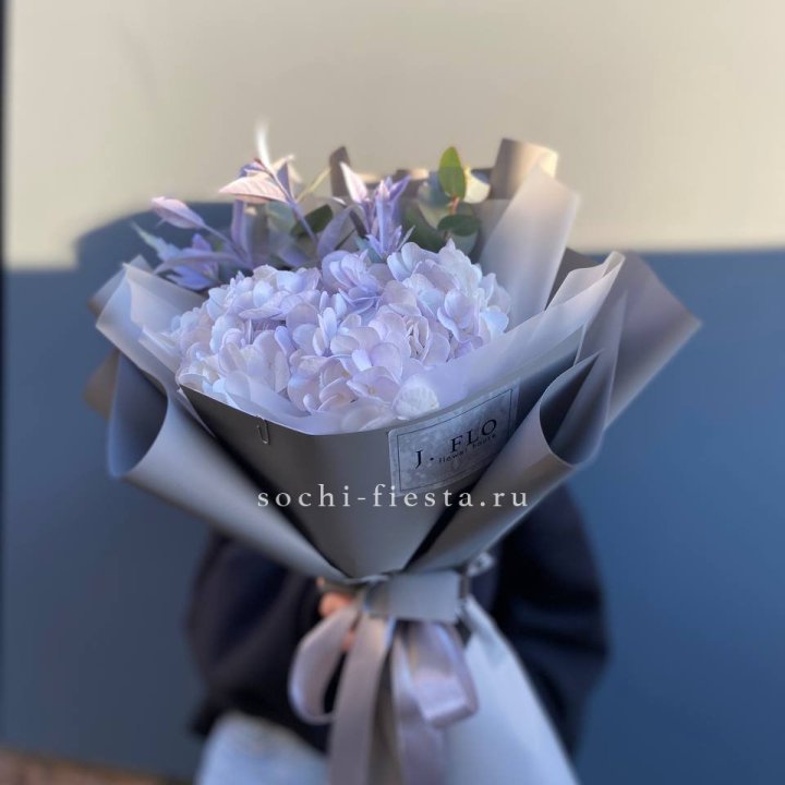Гортензия "Виолета" в Симферополи