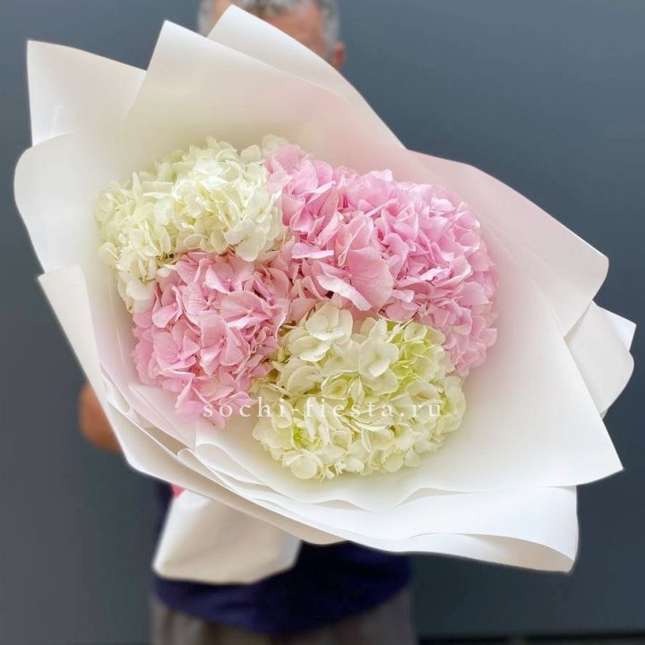 Букет гортензий №5 в Симферополи