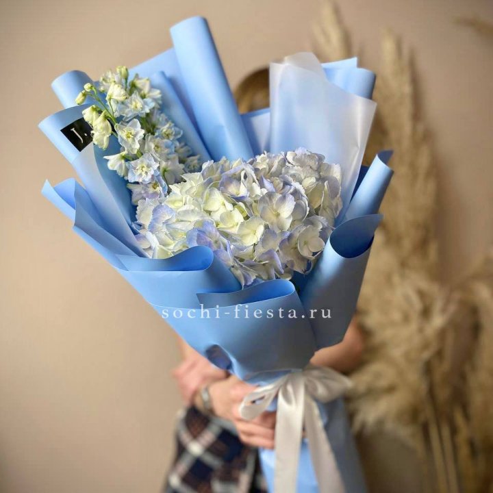 Гортензия "Блю скай" в Симферополи
