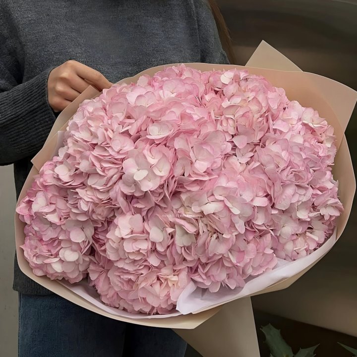 Гортензия  "РОЗЕ" в Симферополи