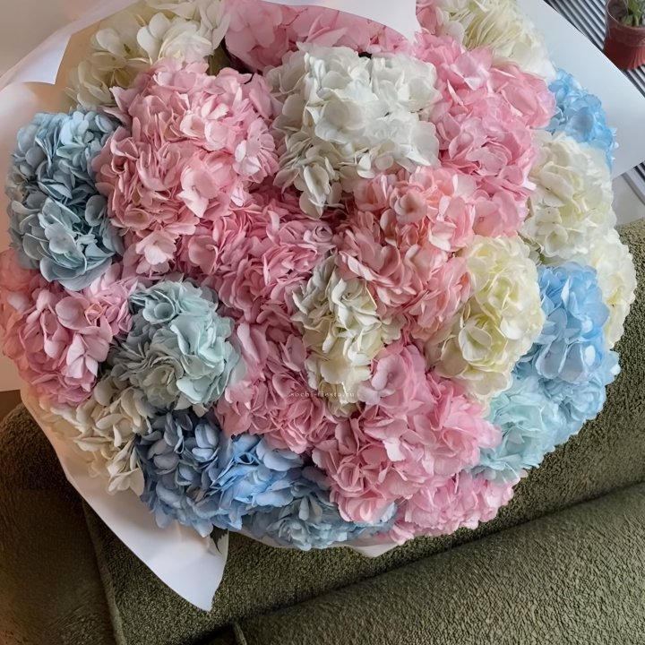 Букет гортензий микс в Симферополи