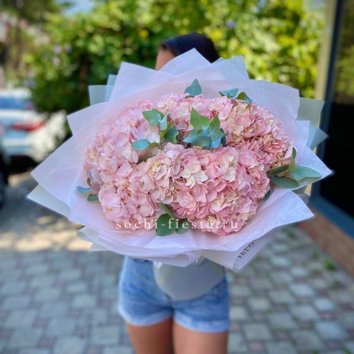 5 розовых гортензий  в Симферополи