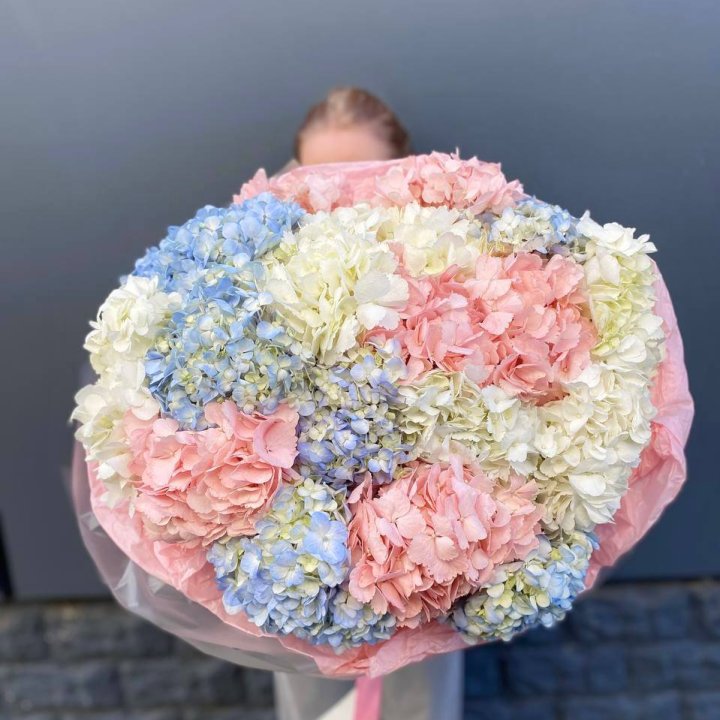 19 гортензий микс в Симферополи