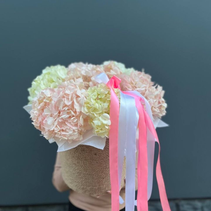 7 гортензий в кашпо в Симферополи