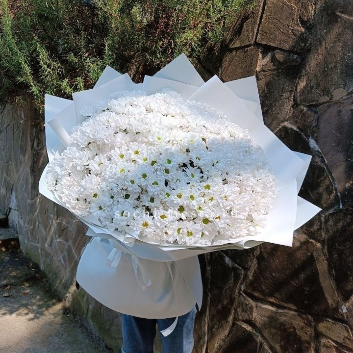 Облако хризантем №2 в Симферополи