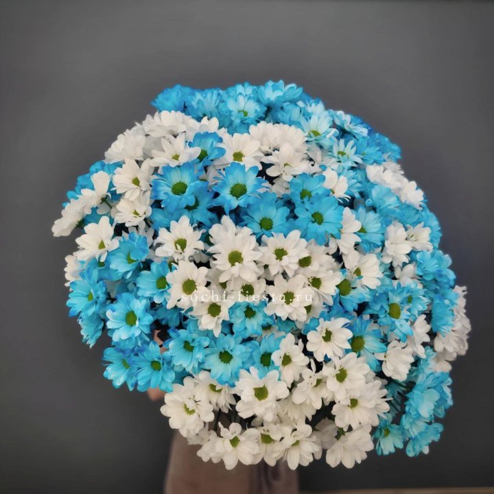  Букет хризантем микс в Симферополи