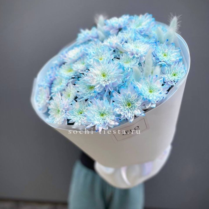  Букет нежно-голубых хризантем  в Симферополи