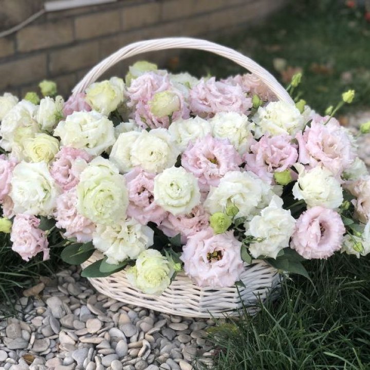 Корзина с эустомой в Симферополи