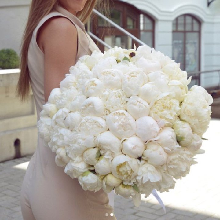 51 белый пион в Симферополи