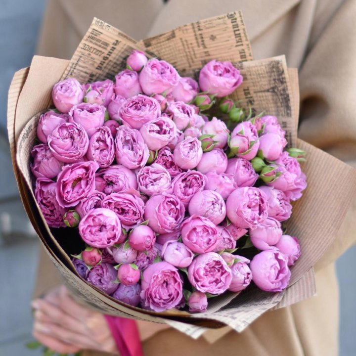 Роза Мисти Баблс в Симферополи