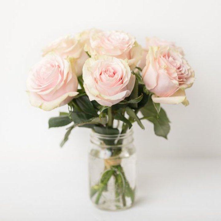 7 кремовых роз в Симферополи