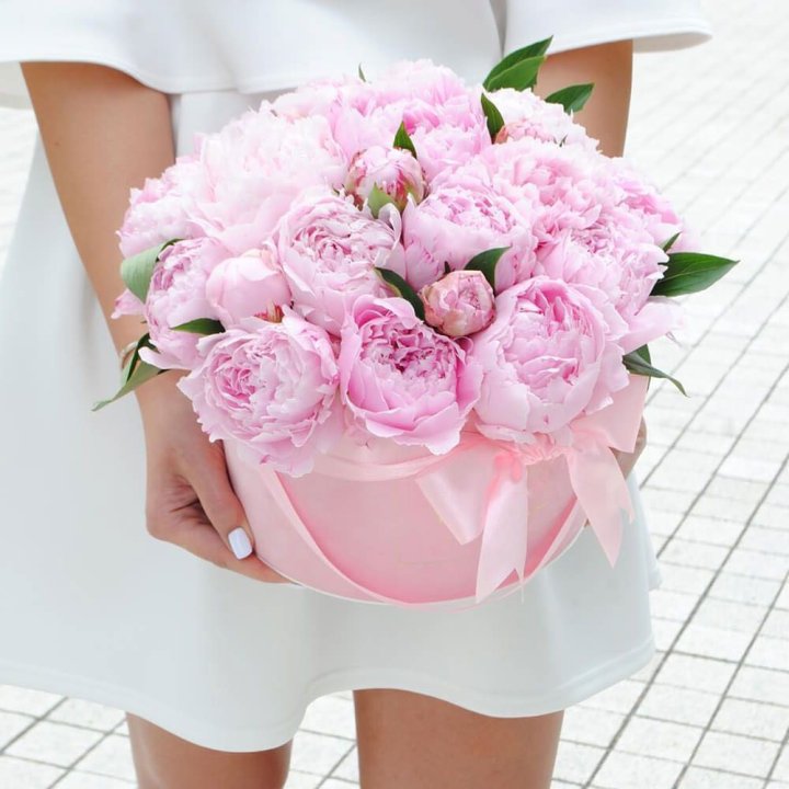 Пионы в шляпной коробке в Симферополи