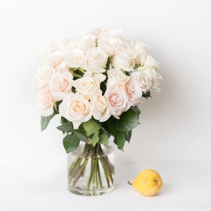 25 кремовых роз в Симферополи