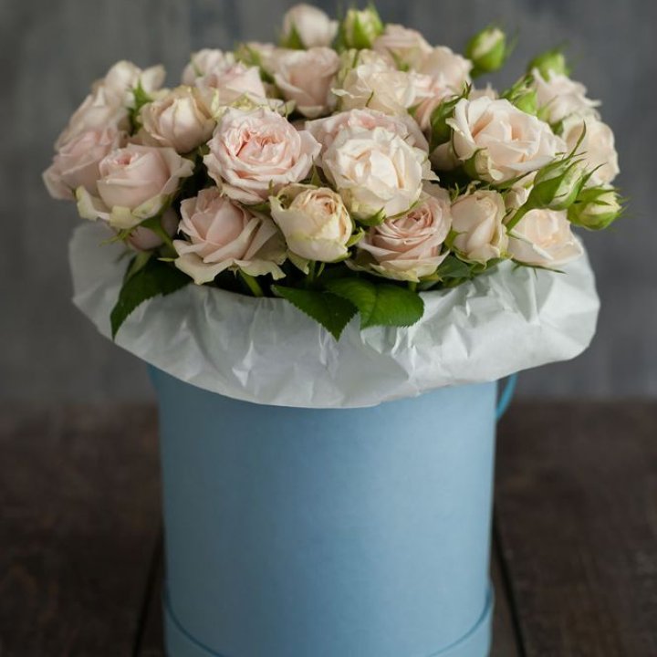 Бокс с бомбастиком в Симферополи