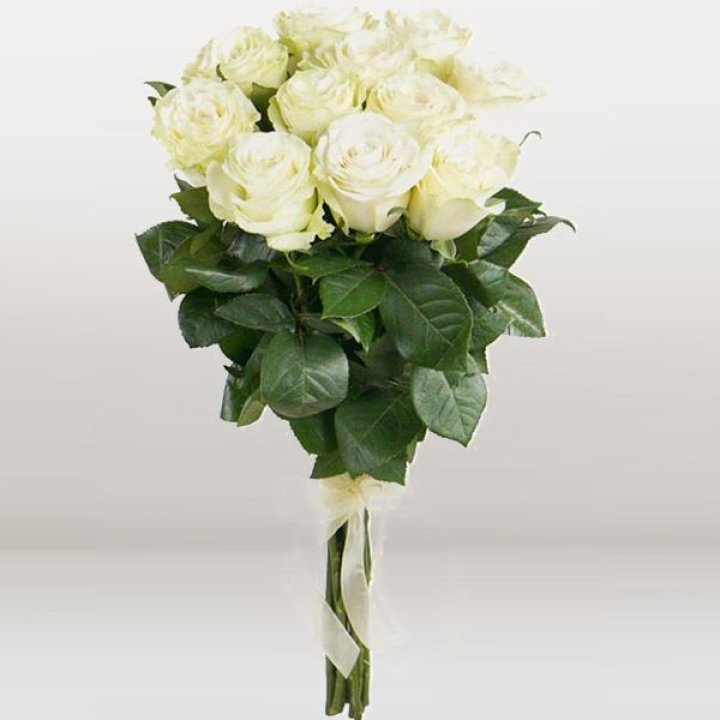 11 белых голландских роз в Симферополи