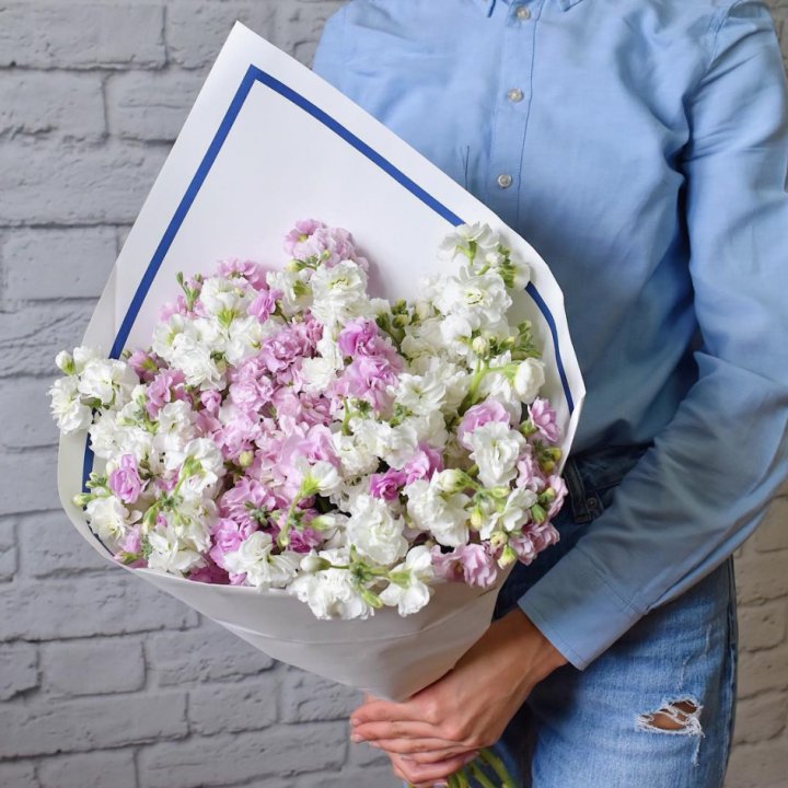 Маттиола в Симферополи