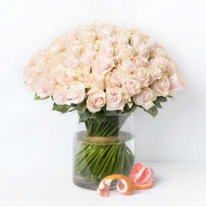 101 кремовая роза в Симферополи