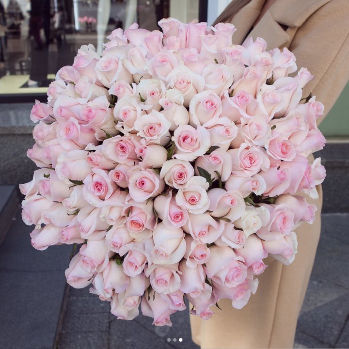 Розы "Пинк бум" в Симферополи