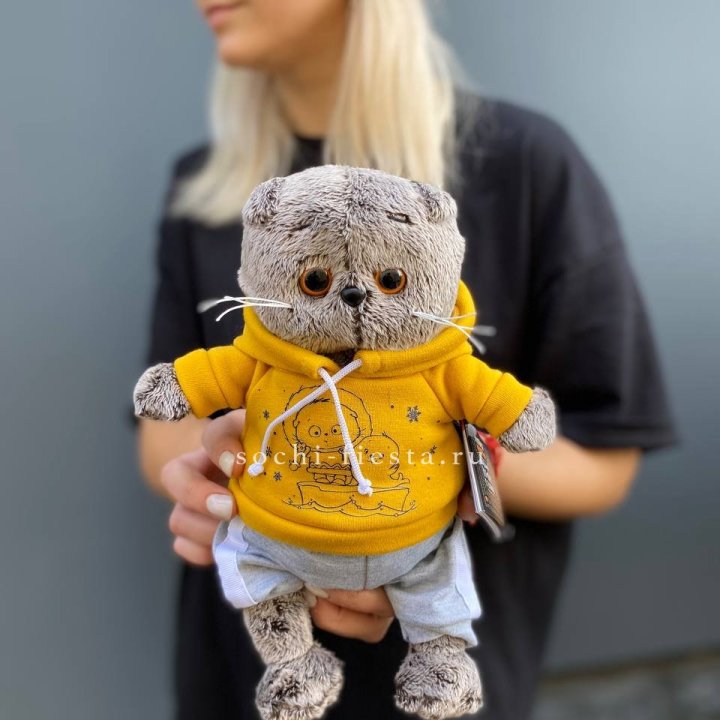 Кот Басик в худи в Симферополи