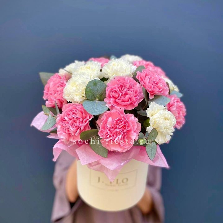 Диантусы в цилиндре в Симферополи