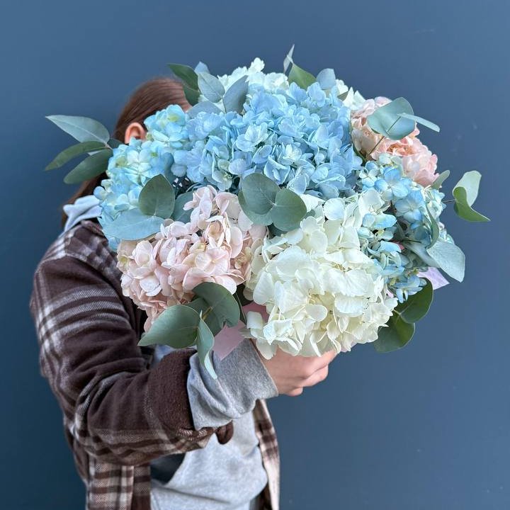 Гортензии в коробочке в Симферополи