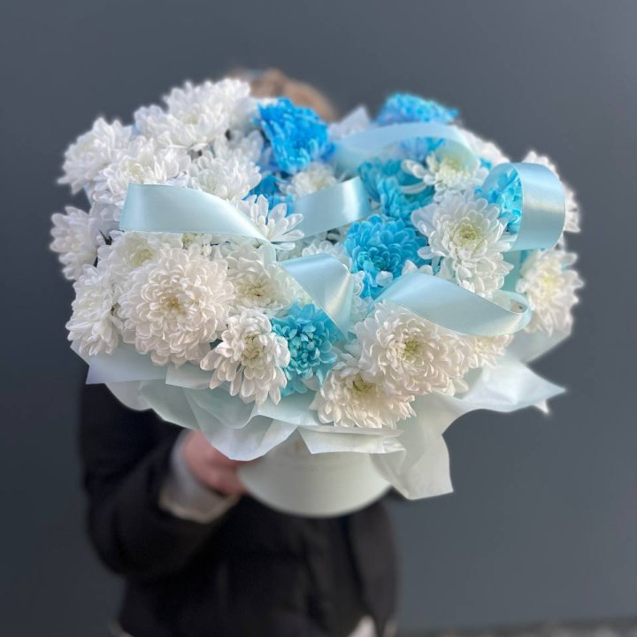 Хризнтемы в боксе в Симферополи